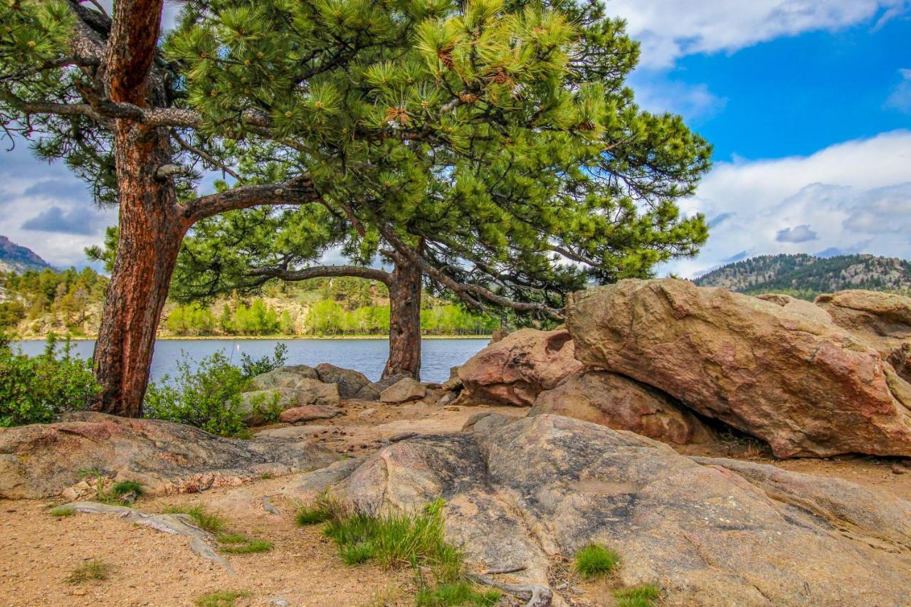 Peaceful Pines In The Rockies Apartamento Estes Park Exterior foto